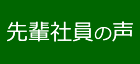 先輩社員の声